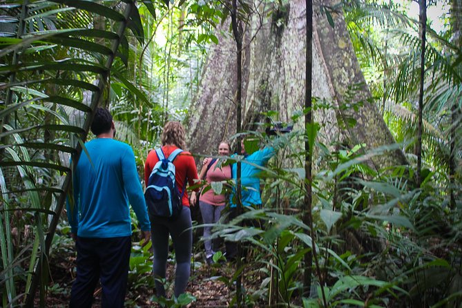 Welcome To the Jungle 5D/4N At Tapiri Rio Negro Lodge - Transportation and Pickup Details