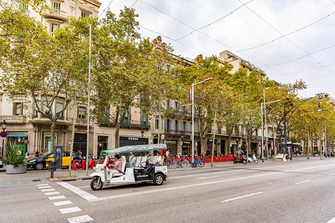 Welcome Tour to Barcelona in Private Eco Tuk Tuk - Group Size and Accessibility