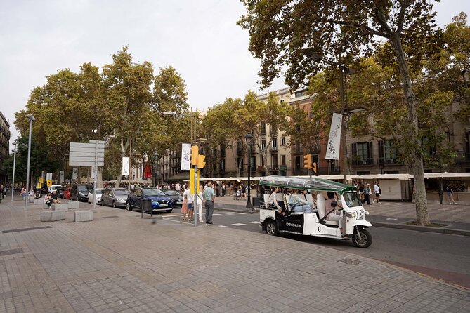Welcome Tour to Paris by Private Eco Tuk Tuk - Discovering Parisian Landmarks