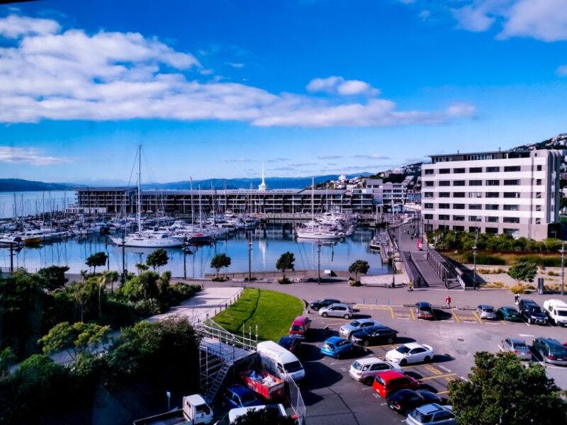 Wellington: 9-Minute Scenic Flight Ride - Experience Highlights
