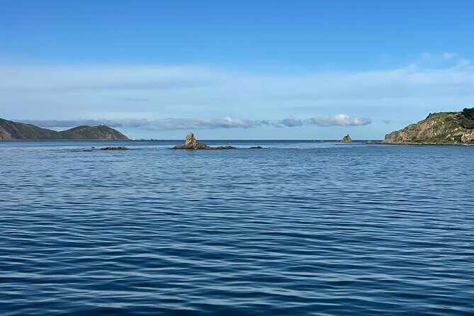 Wellington 90 minute Harbour Cruise - Frequently Asked Questions