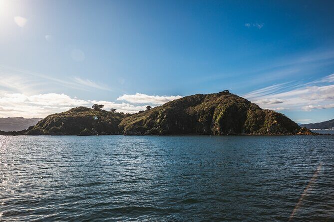 Wellington 90 minute Harbour Cruise - Final Thoughts