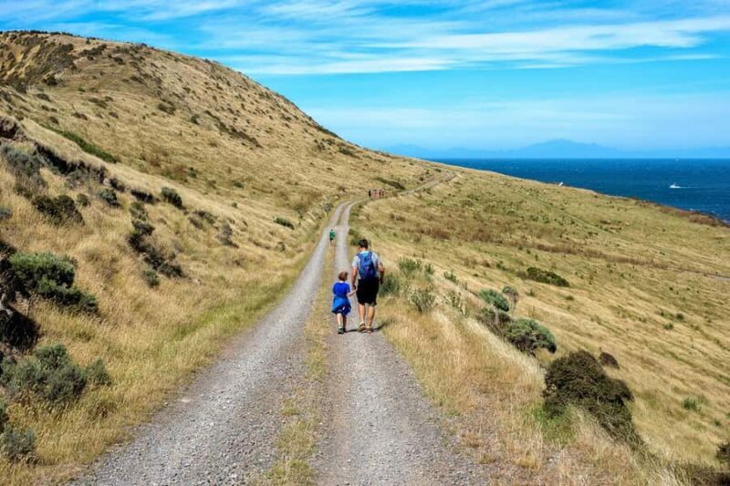 Wellington: Baring Head Lighthouse Walk - Who Is This Tour Best Suited For?