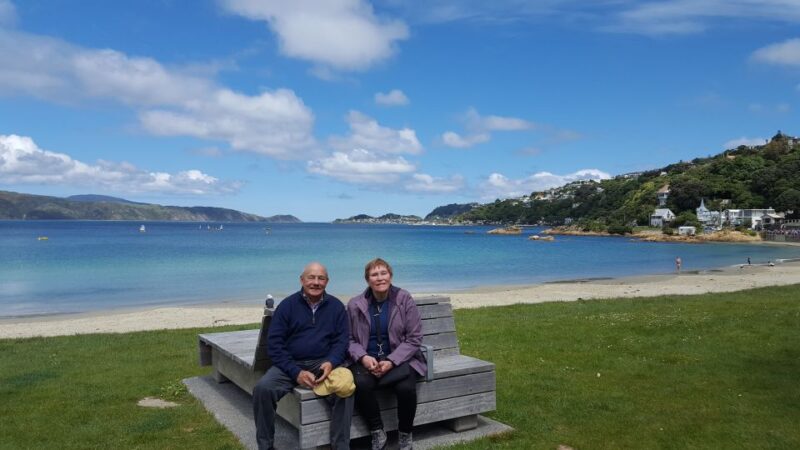 Wellington: Cave to Coast Highlights Guided Tour - Experience and Activities