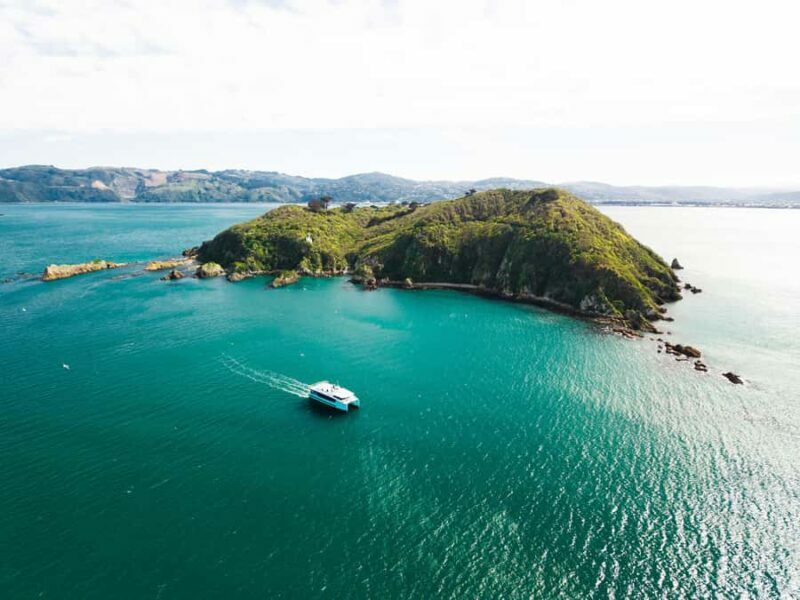 Wellington: Commentated Harbour Explorer tour - An Honest Look at the Wellington Harbour Explorer Tour
