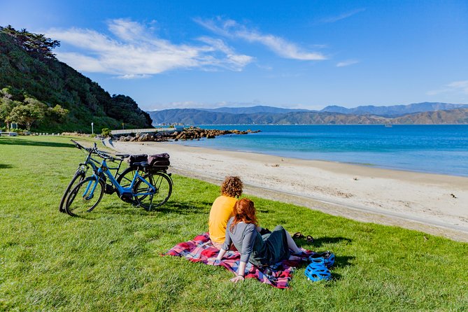 Wellington Electric Bike Rental - Physical Fitness Expectations