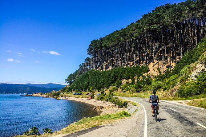 Wellington Electric Bike Rental - Customer Feedback Highlights