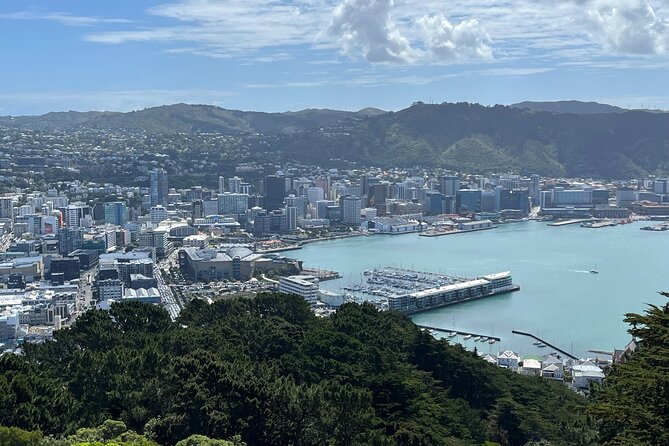 Wellington Full Day Private Tour in Electric Tesla SUV - Pickup Information