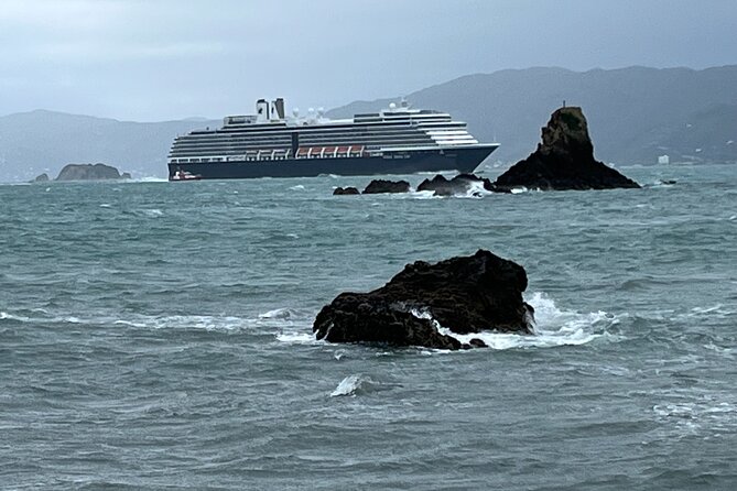 Wellington Full Day Private Tour in Electric Tesla SUV - Operator Information