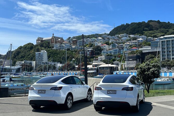 Wellington Full Day Private Tour in Electric Tesla SUV - Tour Highlights