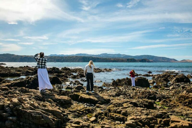 Wellington: Guided City Tour with Cable Car Ticket - The Value of a Well-Guided Tour