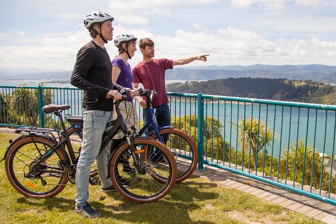 Wellington Guided Ebike Tour-Cruise Shore Excursion - Key Points