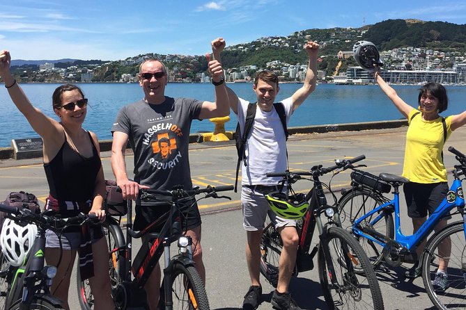 Wellington Guided Ebike Tour-Cruise Shore Excursion - Safety and Preparation