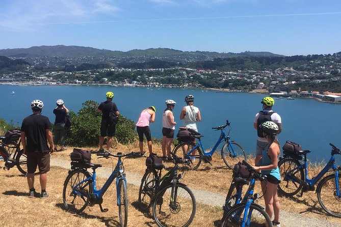 Wellington Guided Ebike Tour-Cruise Shore Excursion - Traveler Reviews and Experiences