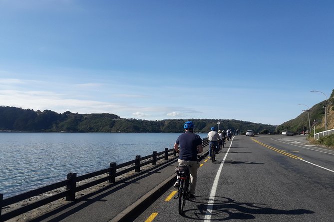 Wellington Guided Ebike Tour-Cruise Shore Excursion - Exploring Wellingtons Waterfront