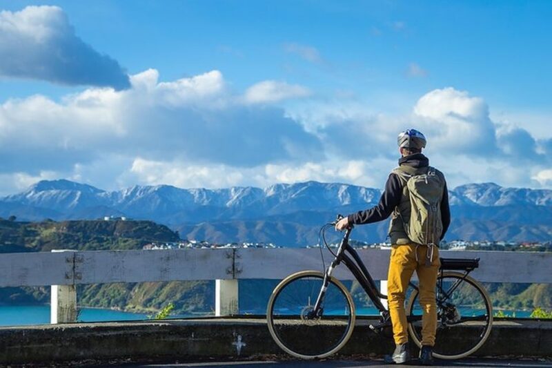 Wellington: Guided Sightseeing Tour by Electric Bike - Language and Rating