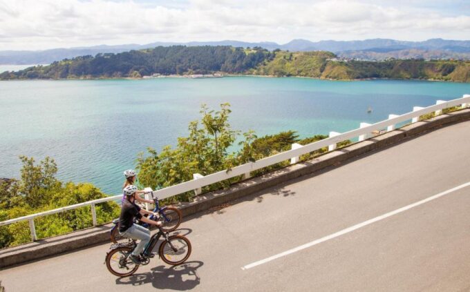 Wellington: Guided Sightseeing Tour by Electric Bike - Tour Duration and Price