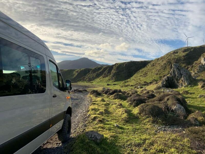 Wellington: Half Day Seal Coast Safari - Accessibility and Practicalities