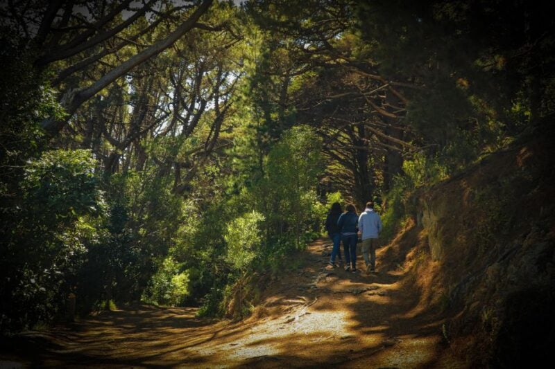 Wellington: Lord of the Rings Tour With Weta Workshop - Customer Reviews and Ratings