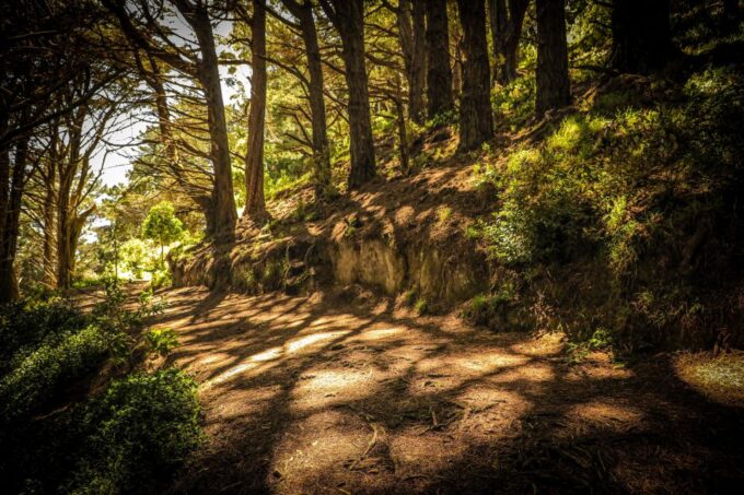 Wellington: Lord of the Rings Tour With Weta Workshop - Recap