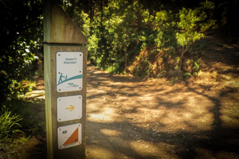 Wellington: Lord of the Rings & Weta Workshop Full-Day Tour - Customer Feedback