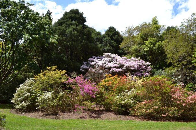 Wellington: Lord of the Rings & Weta Workshop Full-Day Tour - Recap