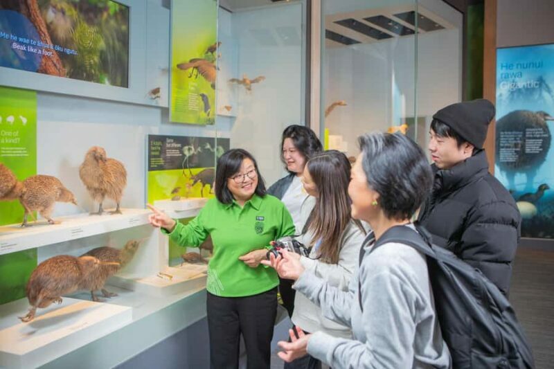 Wellington: Museum of NZ Intro Tour & General Admission - Key Points