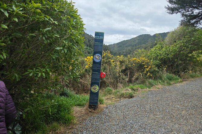 Wellington Native Bush Walking Tour - What to Expect from the Tour