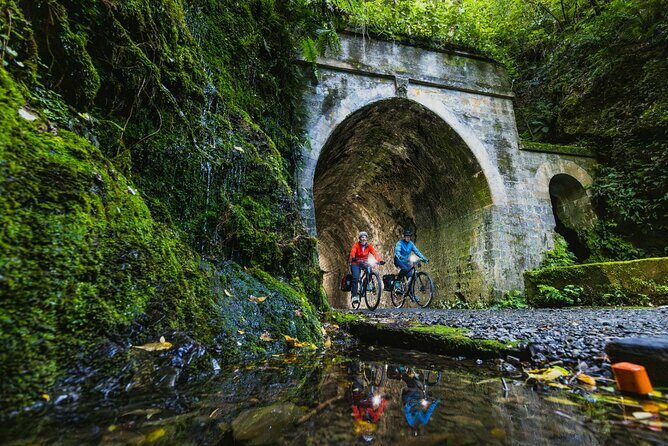 Wellington Native Bush Walking Tour - Frequently Asked Questions