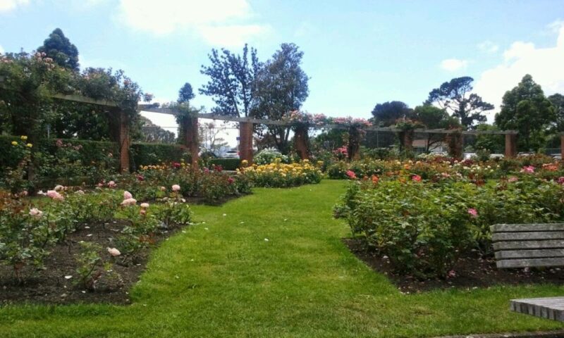 Wellington: Private Day Tour With Lunch - Customer Experience and Reviews