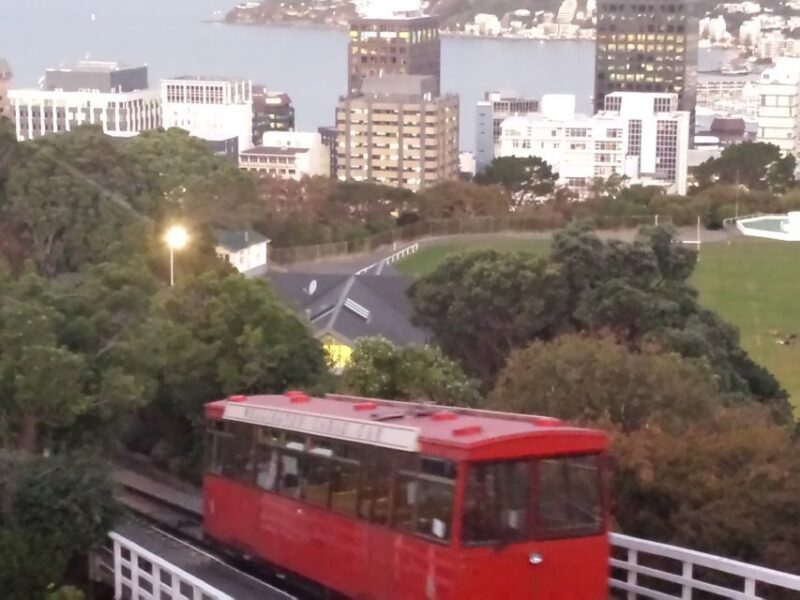 Wellington: Private Day Tour With Lunch - Important Information