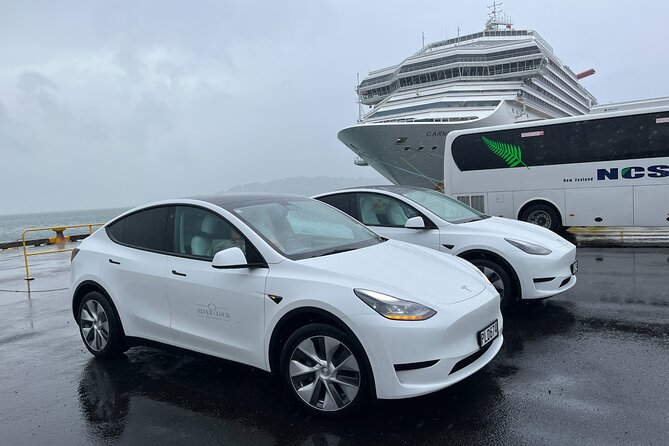 Wellington Private Tandem Tesla Tour - Included Experiences
