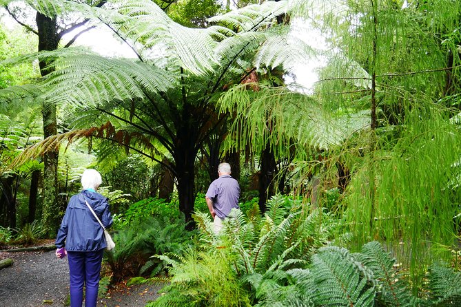 Wellington Region Full Day Private Tour: Get Out of the City - Customizable Itinerary Highlights