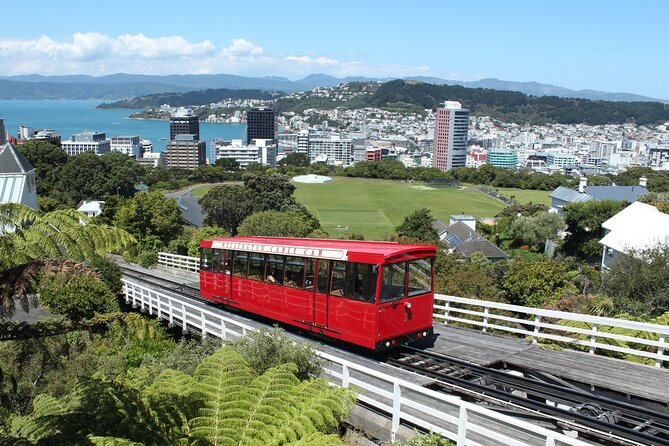 Wellington Scenic Full Day Tour - Included Features
