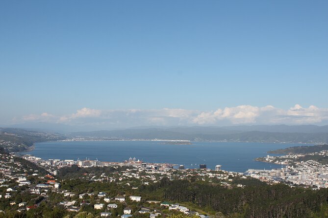 Wellington Scenic Full Day Tour - Cancellation Policy
