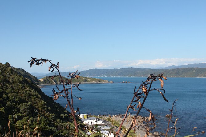 Wellington Scenic Full Day Tour - Child Safety