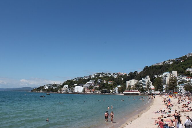 Wellington Scenic Full Day Tour - Physical Requirements