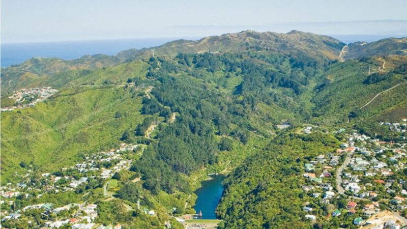 Wellington: Scenic Harbour Helicopter Flight - Booking Information