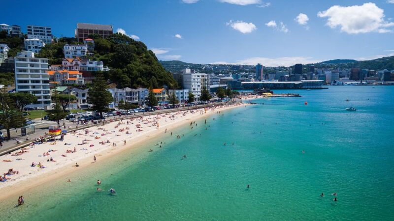 Wellington: Scenic Harbour Helicopter Flight - Included Services