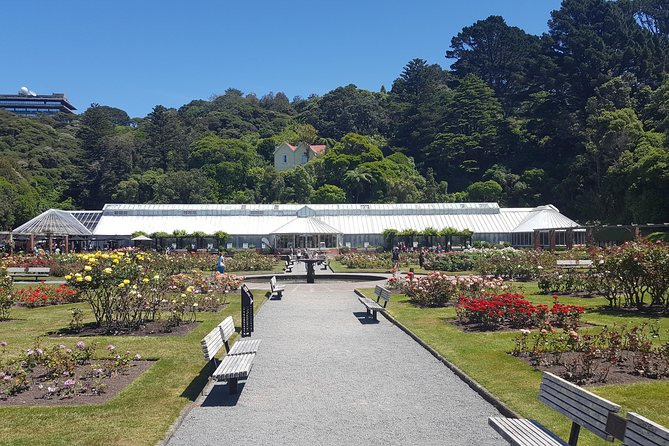 Wellington Shore Excursion: From Cave to Coast Highlights Private Tour - Customer Reviews and Feedback