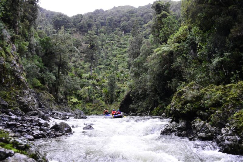 Wellington: Te Awa Kairangi Class 3 Whitewater Rafting Tour - Activity Details