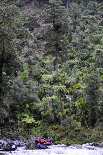 Wellington: Te Awa Kairangi Class 3 Whitewater Rafting Tour - Experience Highlights