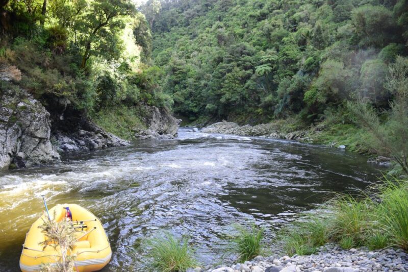 Wellington: Te Awa Kairangi Class 3 Whitewater Rafting Tour - Included in the Tour