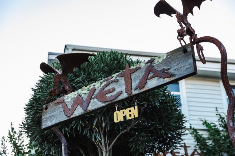 Wellington: Wētā Workshop Experience and Guided Tour - Meet the Workshop Artists