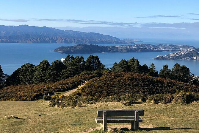 Wellington: Wild Skyline Guided Hiking Tour, Transfers + Lunch - Exploring Wellington’s Wild Skyline: A Guided Hiking Experience