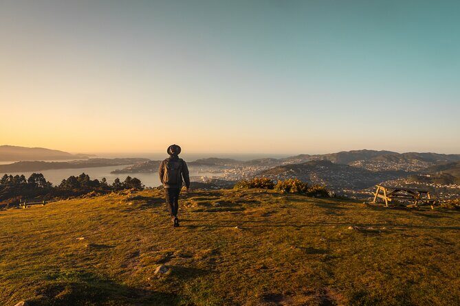 Wellington: Wild Skyline Guided Hiking Tour, Transfers + Lunch - Key Points