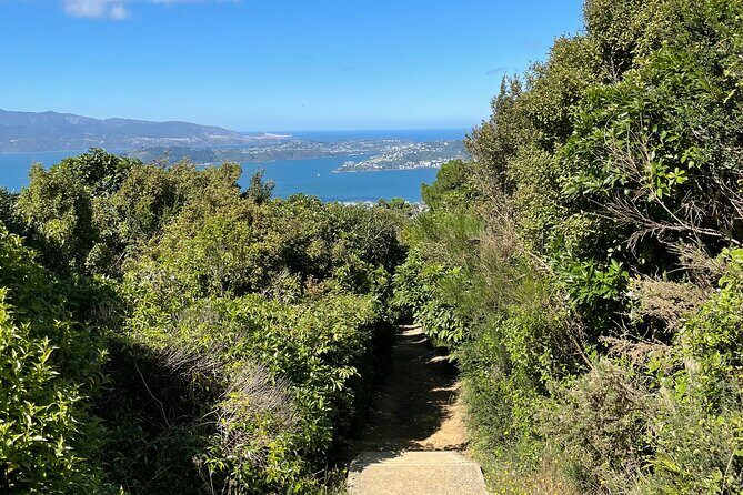 Wellington: Wild Skyline Guided Hiking Tour, Transfers + Lunch - The Itinerary in Detail