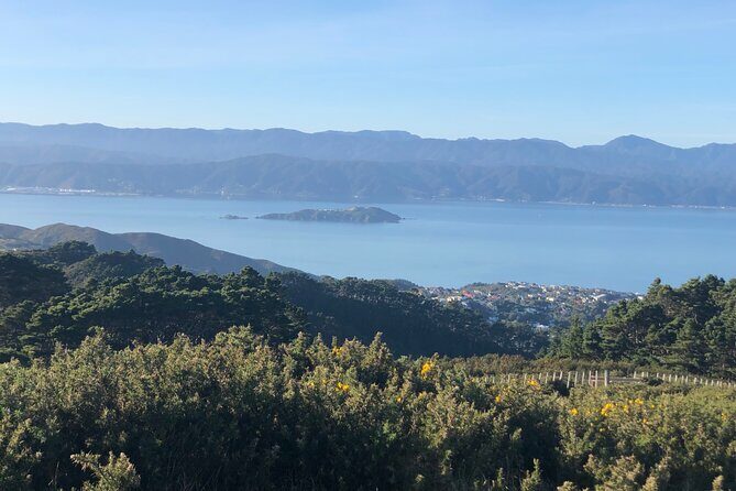 Wellington: Wild Skyline Guided Hiking Tour, Transfers + Lunch - Authenticity and Local Knowledge