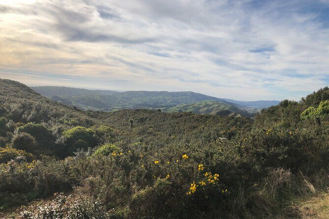 Wellington: Wild Skyline Guided Hiking Tour, Transfers + Lunch - Practical Details and Value
