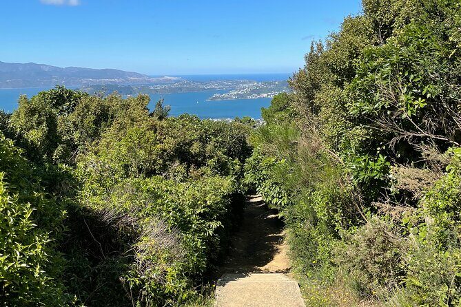 Wellington: Wild Skyline Guided Hiking Tour, Transfers + Lunch - What the Reviews Say